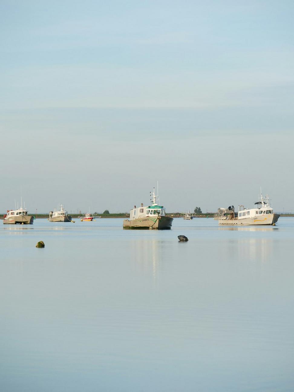 Lighthouse Marina