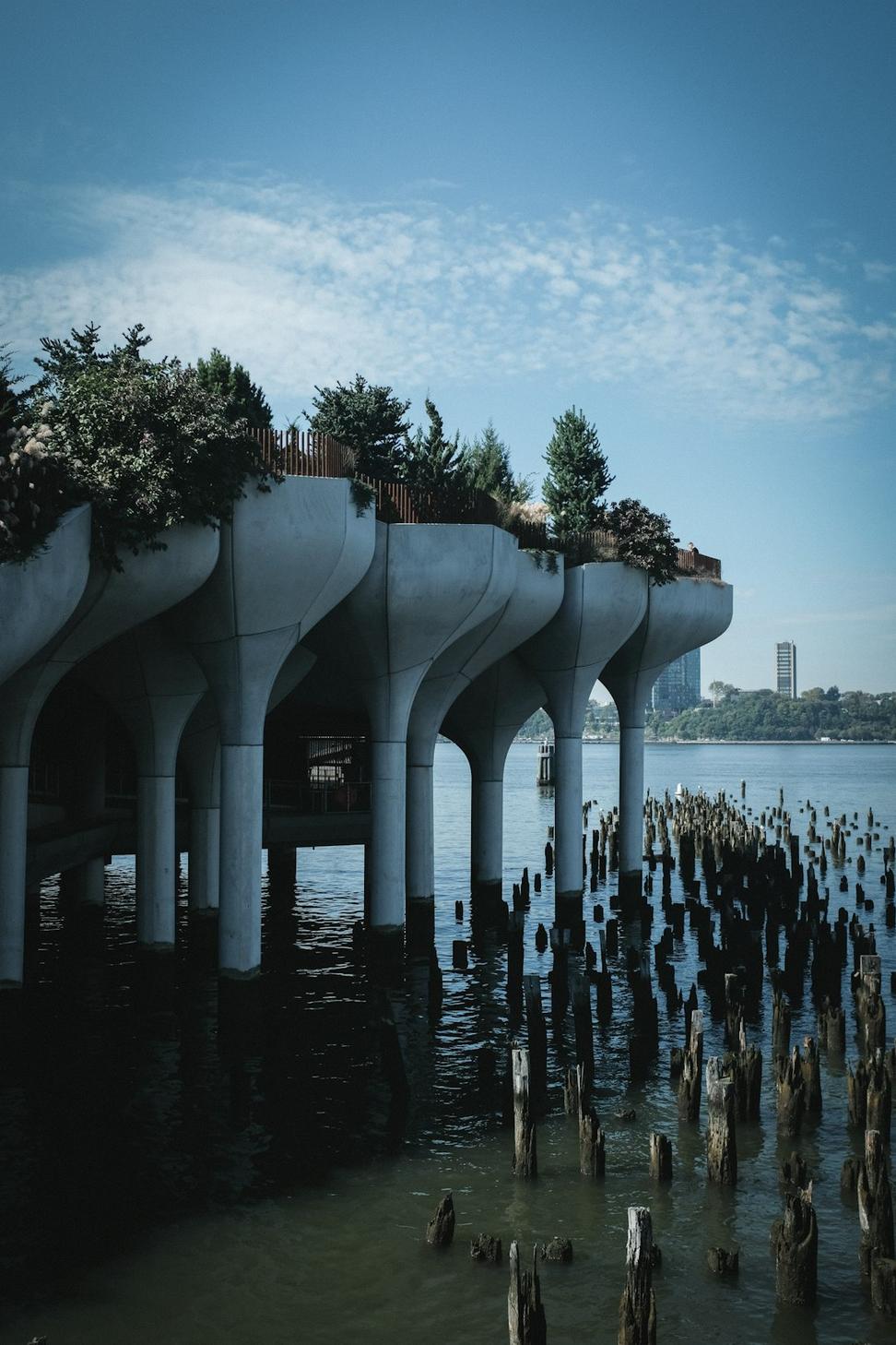 Coastal Architecture Services